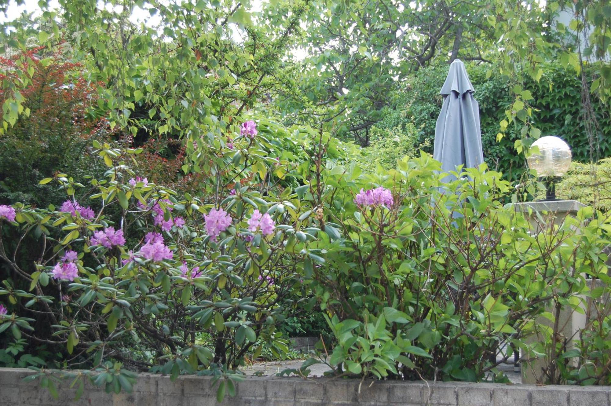 Hofgassl Zentgraf Bed & Breakfast Moerbisch Am See Ngoại thất bức ảnh
